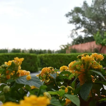 Anesis Village And *