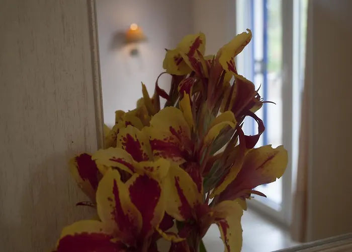 Anesis Village And *